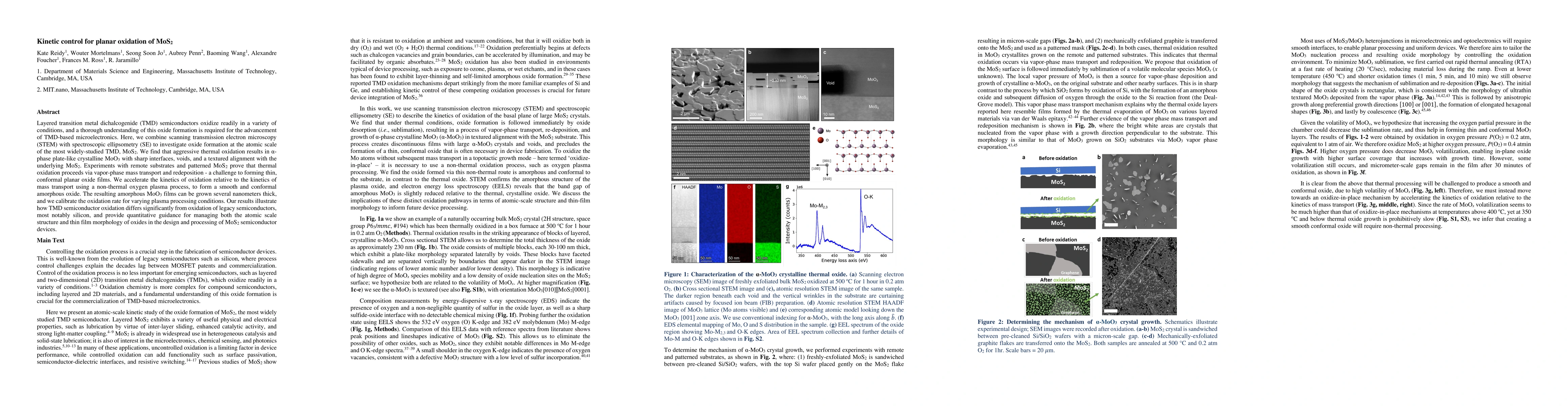 Thumbnail for Kinetic control for planar oxidation of MoS$_2$