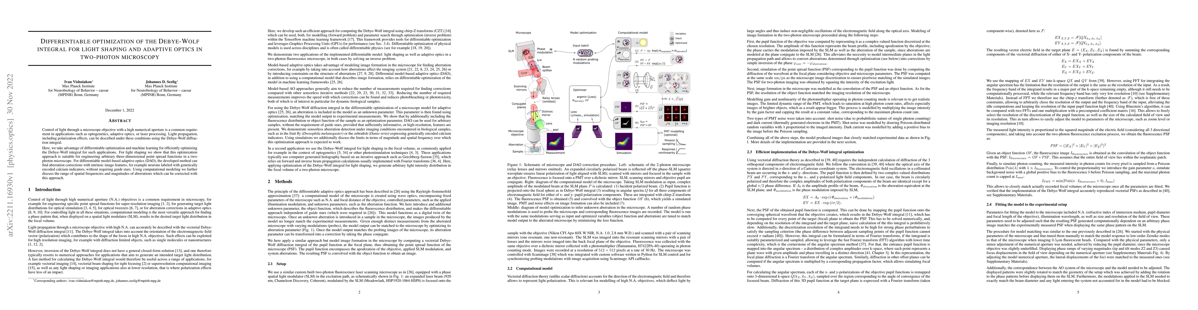 Thumbnail for Differentiable optimization of the Debye-Wolf integral for light shaping
  and adaptive optics in two-photon microscopy