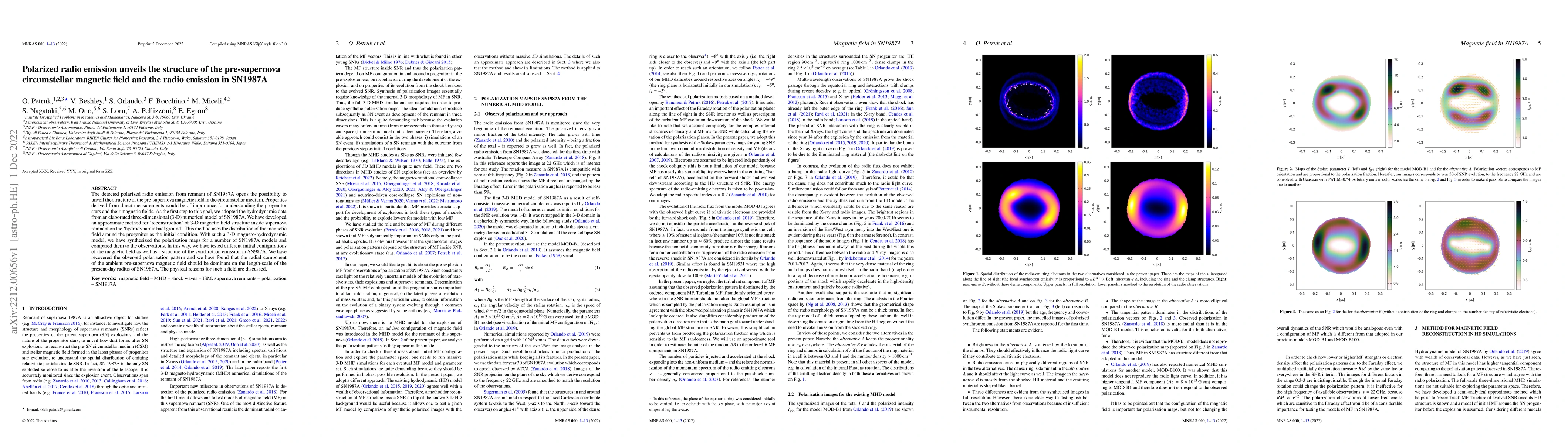 Thumbnail for Polarized radio emission unveils the structure of the pre-supernova
  circumstellar magnetic field and the radio emission in SN1987A