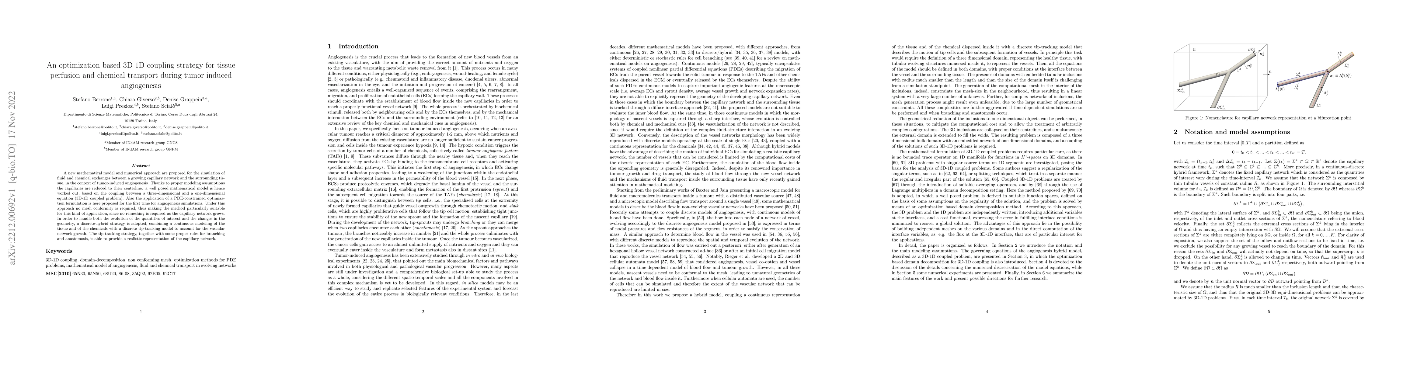 Thumbnail for An optimization based 3D-1D coupling strategy for tissue perfusion and
  chemical transport during tumor-induced angiogenesis