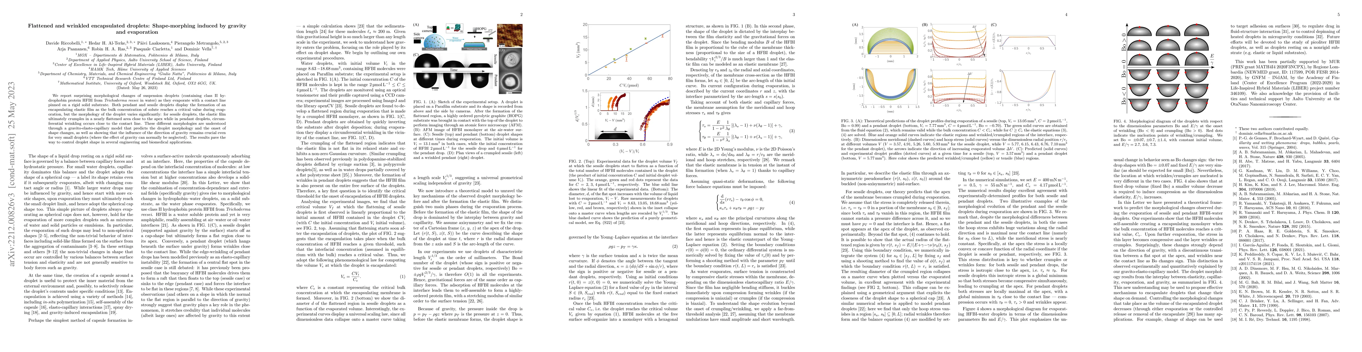 Thumbnail for Flattened and wrinkled encapsulated droplets: Shape-morphing induced by
  gravity and evaporation