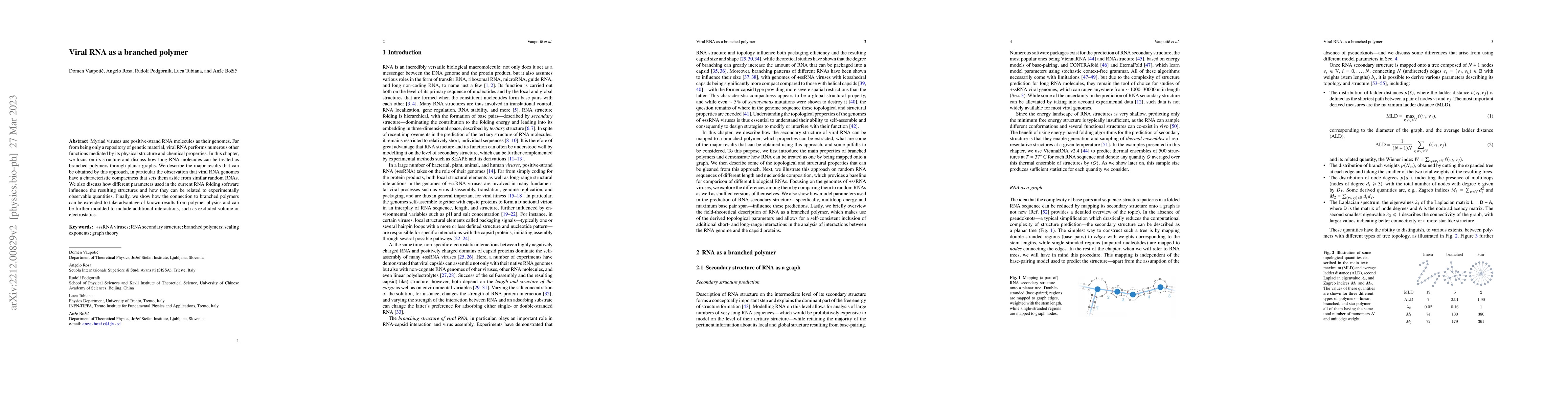 Thumbnail for Viral RNA as a branched polymer