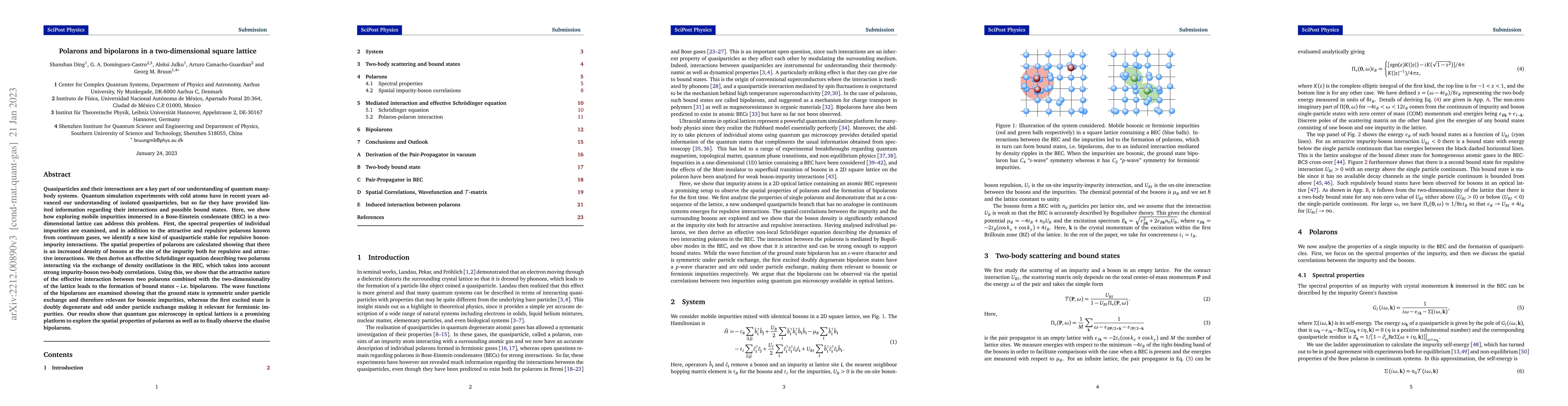 Thumbnail for Polarons and bipolarons in a two-dimensional square lattice