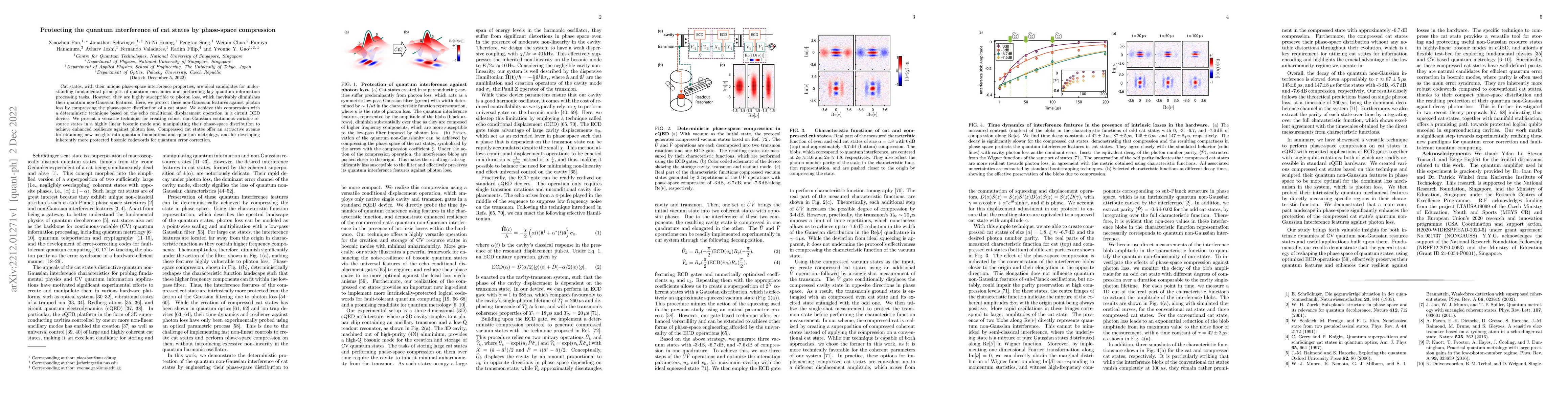 Thumbnail for Protecting the quantum interference of cat states by phase-space
  compression