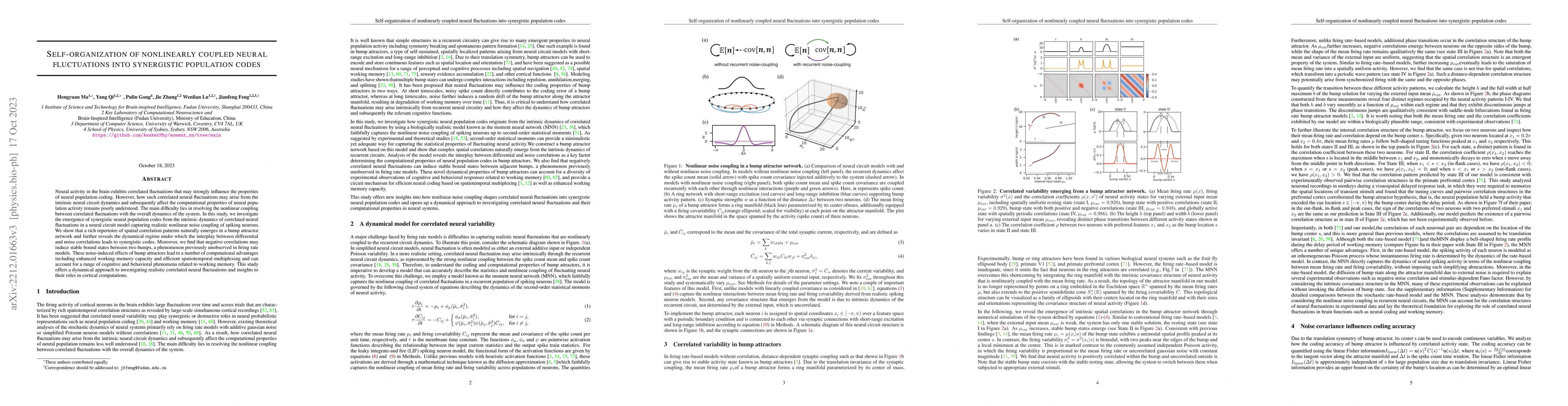 Thumbnail for Self-organization of nonlinearly coupled neural fluctuations into
  synergistic population codes