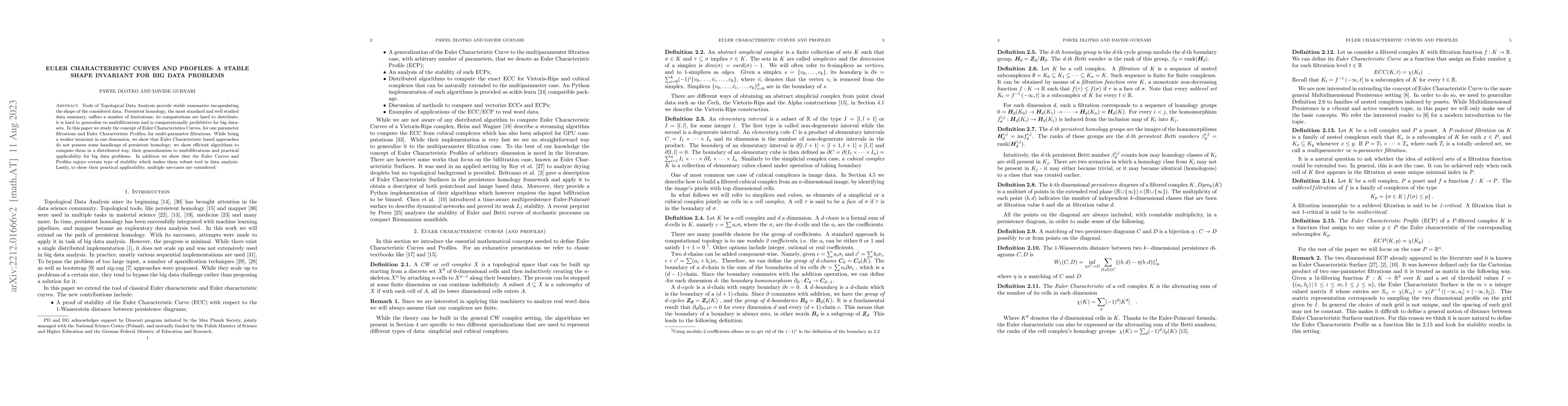Thumbnail for Euler Characteristic Curves and Profiles: a stable shape invariant for
  big data problems