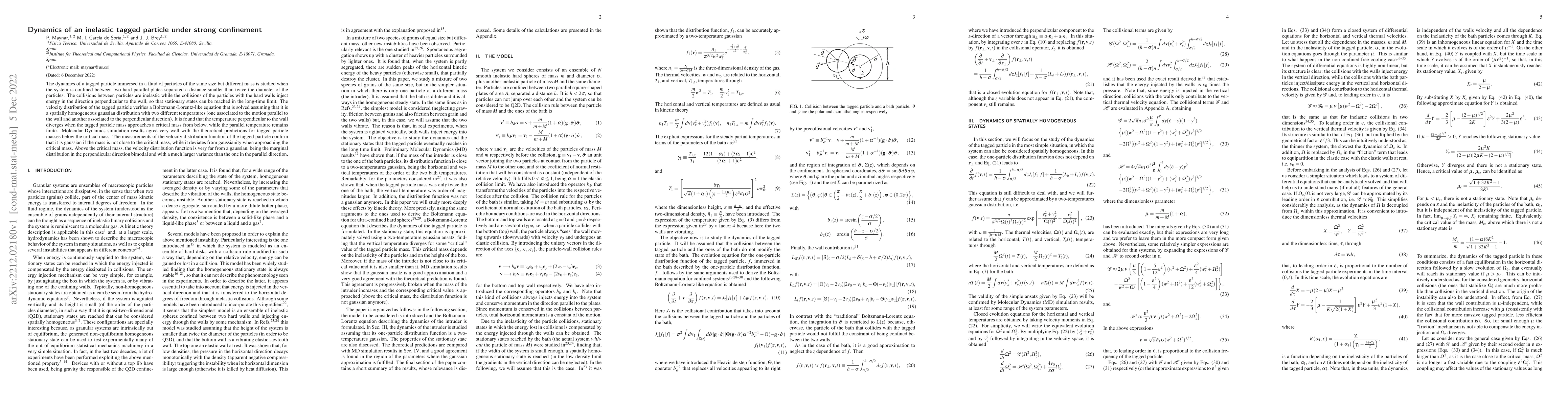 Thumbnail for Dynamics of an inelastic tagged particle under strong confinement