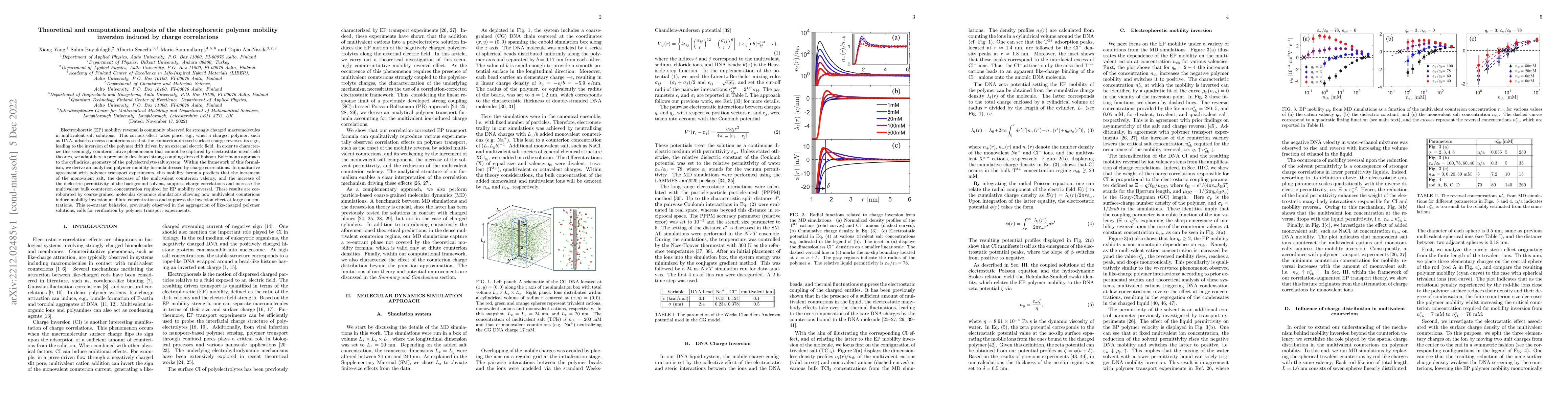 Thumbnail for Theoretical and computational analysis of the electrophoretic polymer
  mobility inversion induced by charge correlations