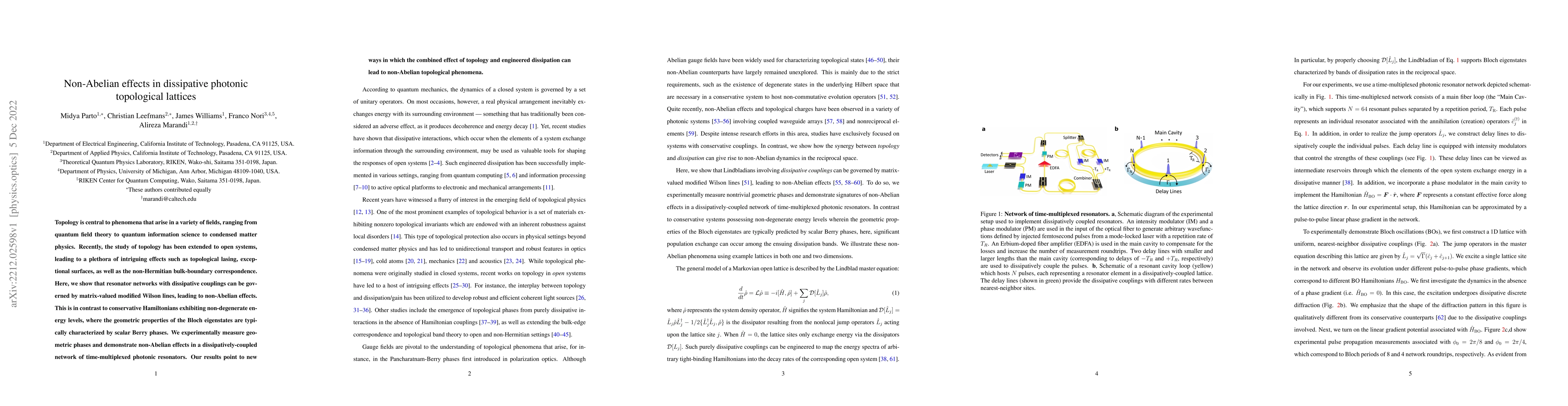 Thumbnail for Non-Abelian effects in dissipative photonic topological lattices
