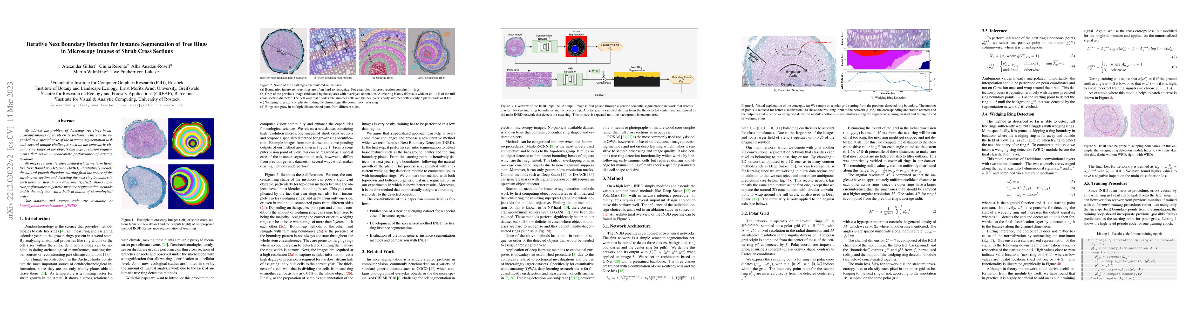 Thumbnail for Iterative Next Boundary Detection for Instance Segmentation of Tree
  Rings in Microscopy Images of Shrub Cross Sections