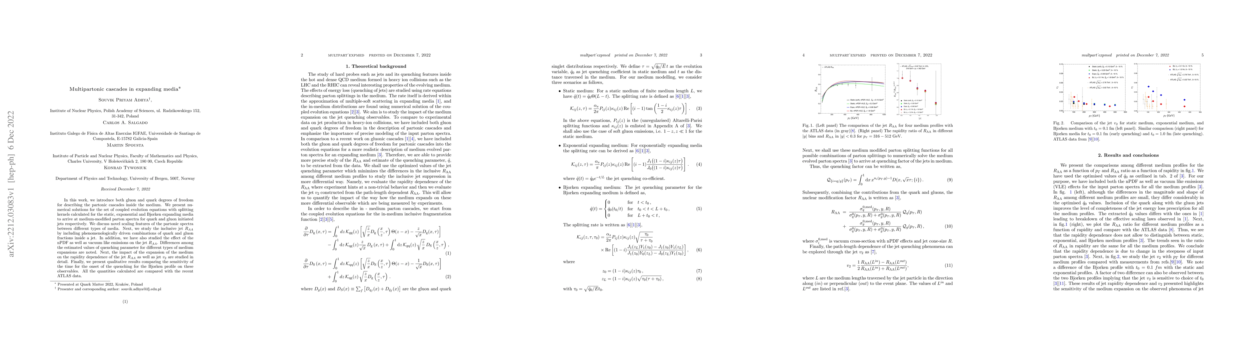 Thumbnail for Multipartonic cascades in expanding media