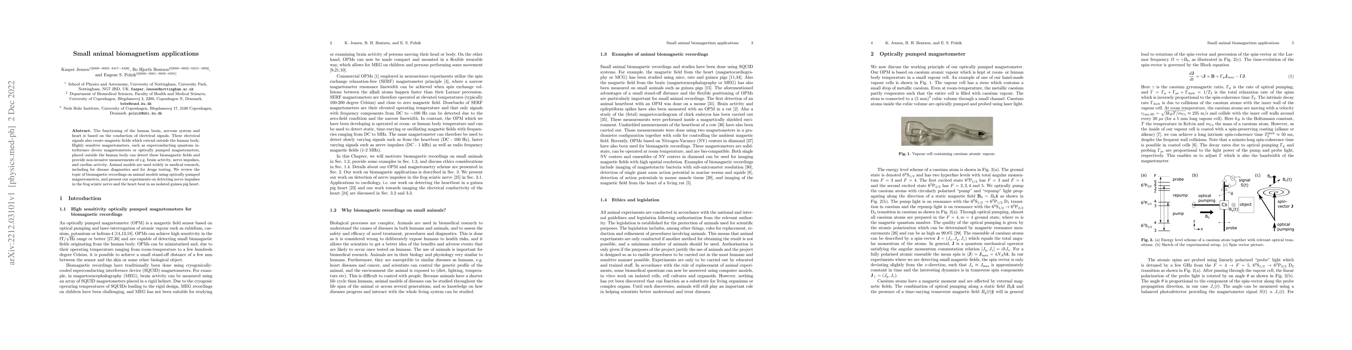 Thumbnail for Small animal biomagnetism applications