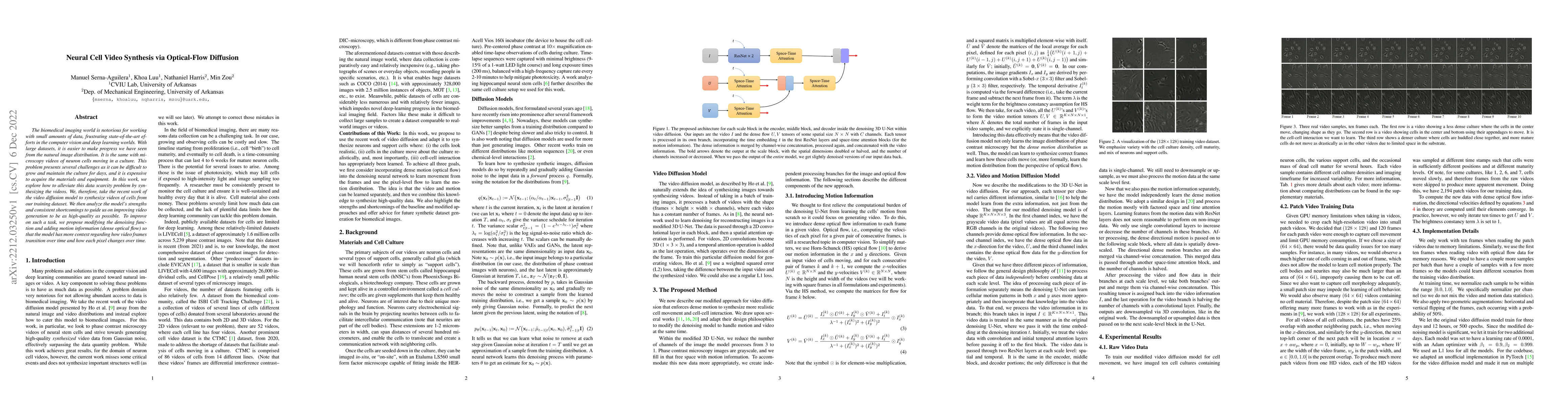 Thumbnail for Neural Cell Video Synthesis via Optical-Flow Diffusion
