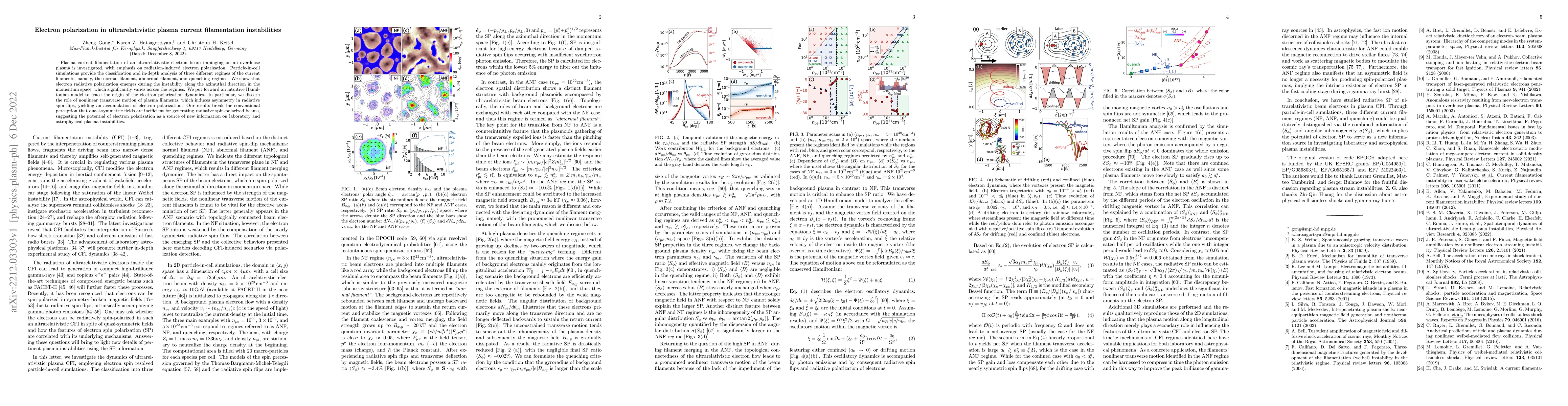 Thumbnail for Electron polarization in ultrarelativistic plasma current filamentation
  instabilities