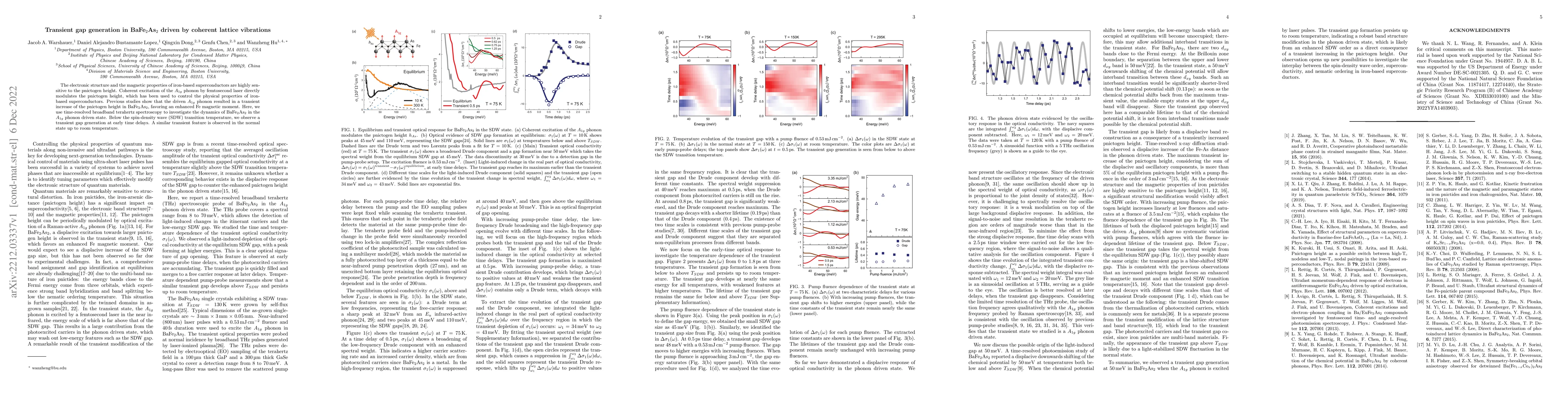 Thumbnail for Transient gap generation in BaFe$_2$As$_2$ driven by coherent lattice
  vibrations