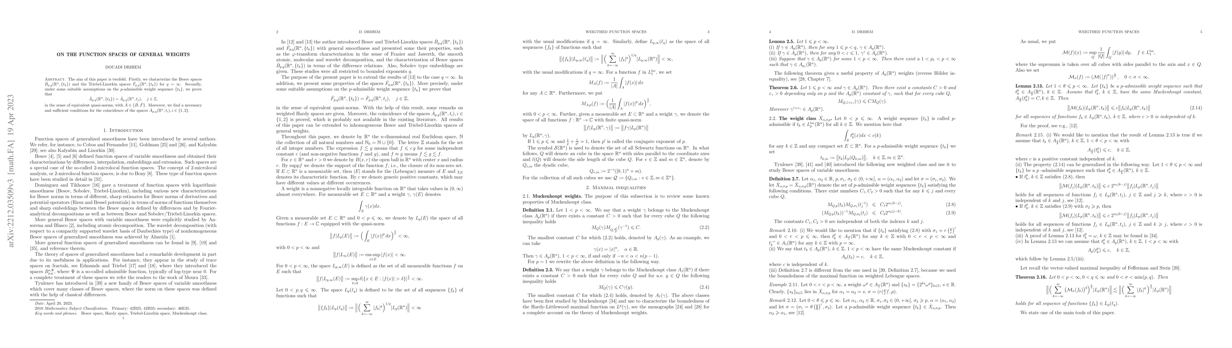 Thumbnail for On the function spaces of general weights