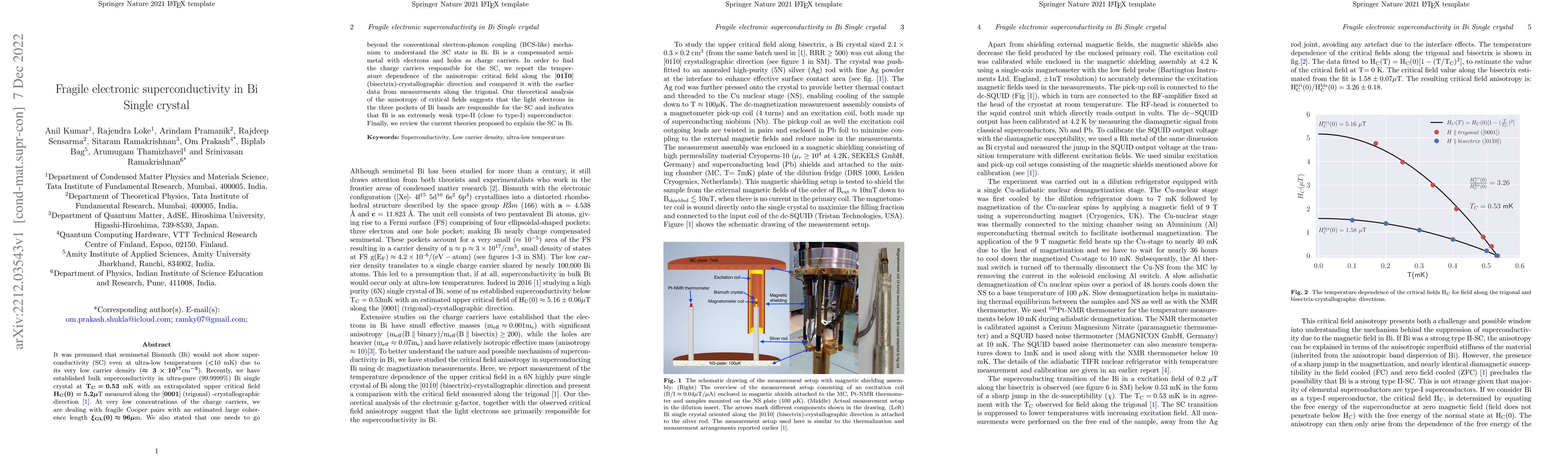 Thumbnail for Fragile electronic superconductivity in Bi Single crystal