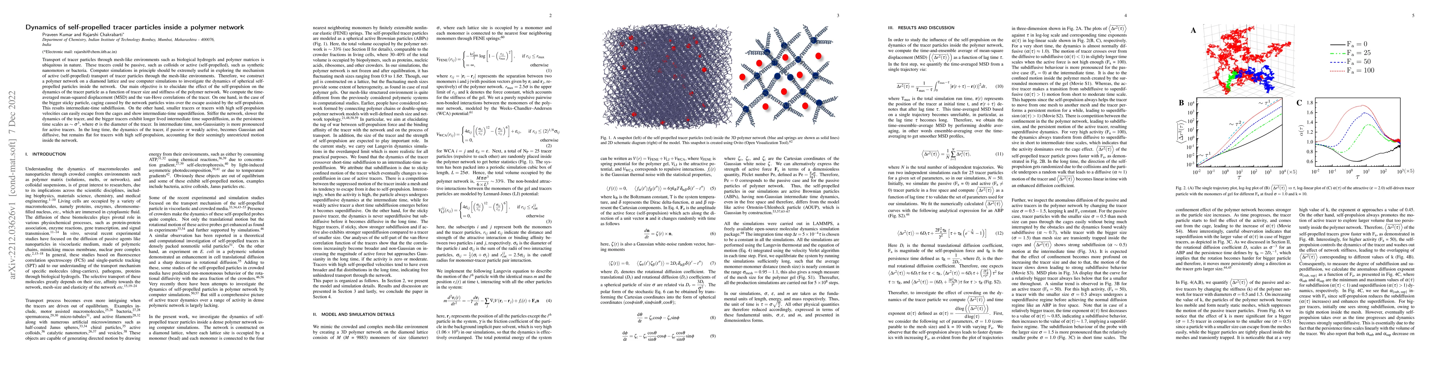 Thumbnail for Dynamics of self-propelled tracer particles inside a polymer network