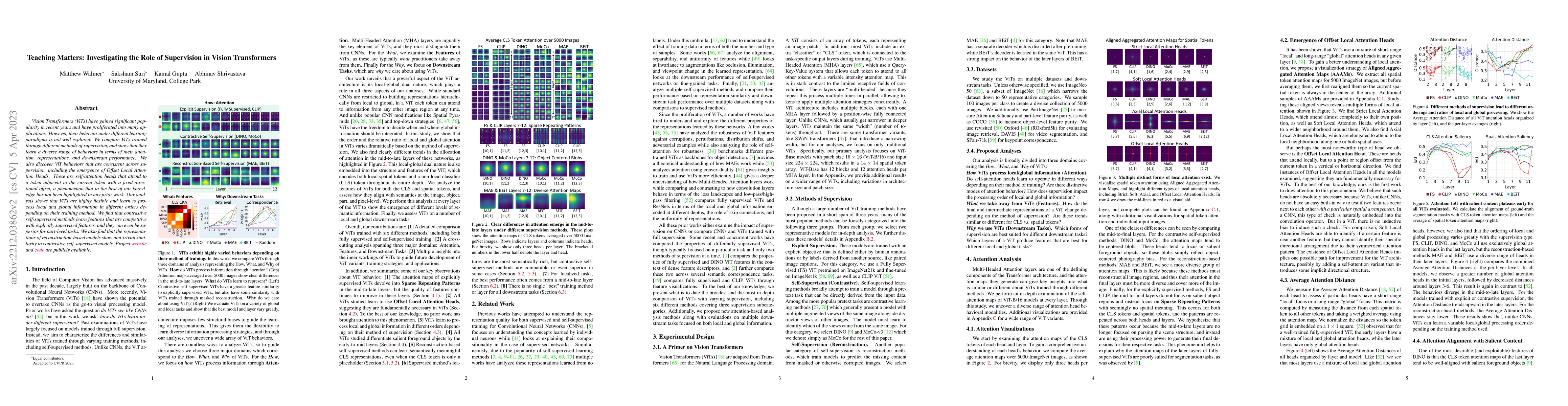 Thumbnail for Teaching Matters: Investigating the Role of Supervision in Vision
  Transformers