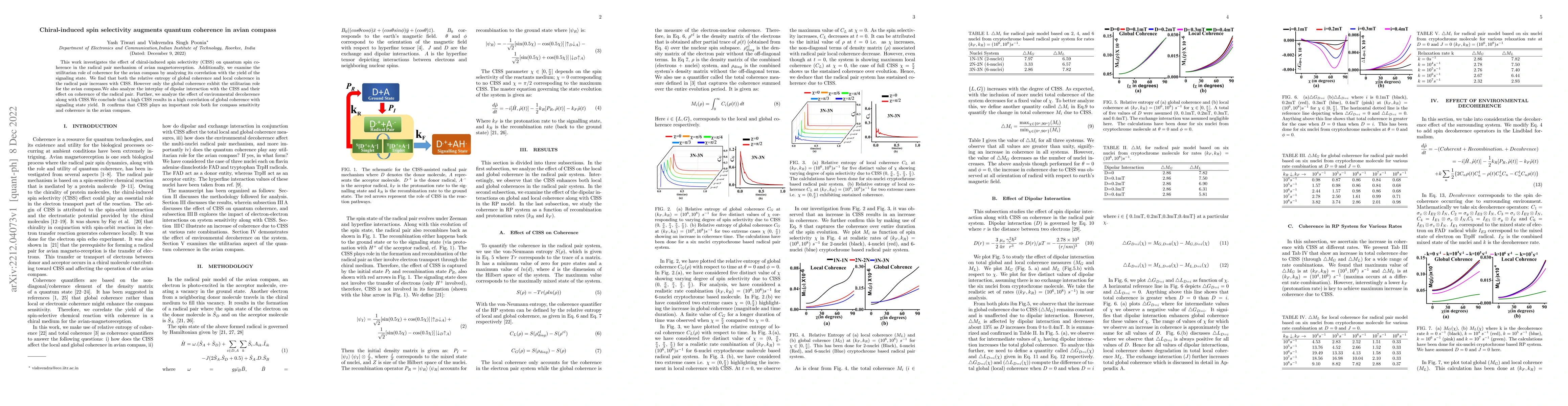 Thumbnail for Chiral-induced spin selectivity augments quantum coherence in avian
  compass