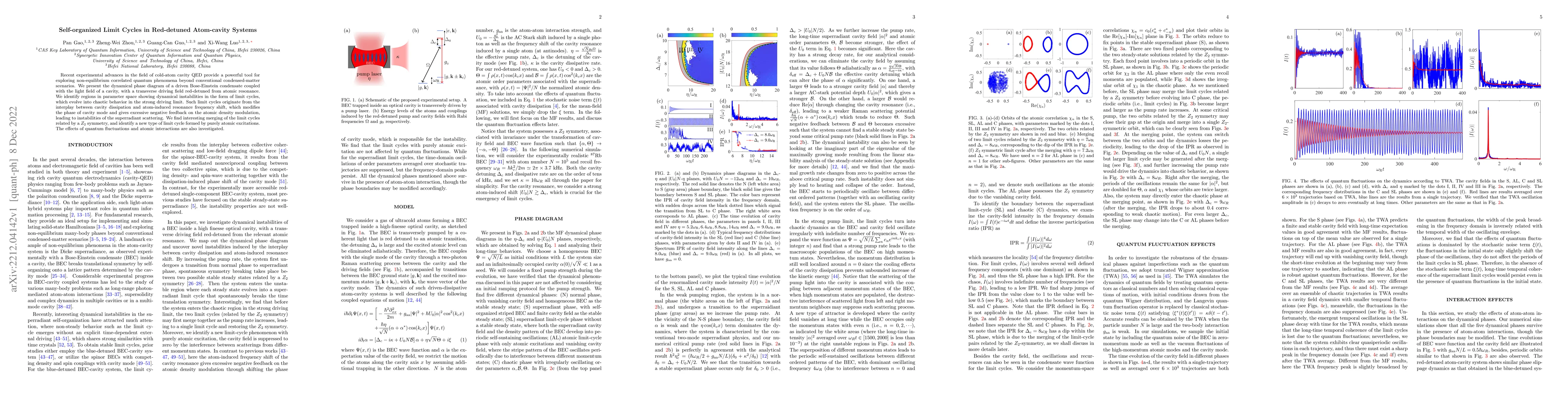 Thumbnail for Self-organized Limit Cycles in Red-detuned Atom-cavity Systems