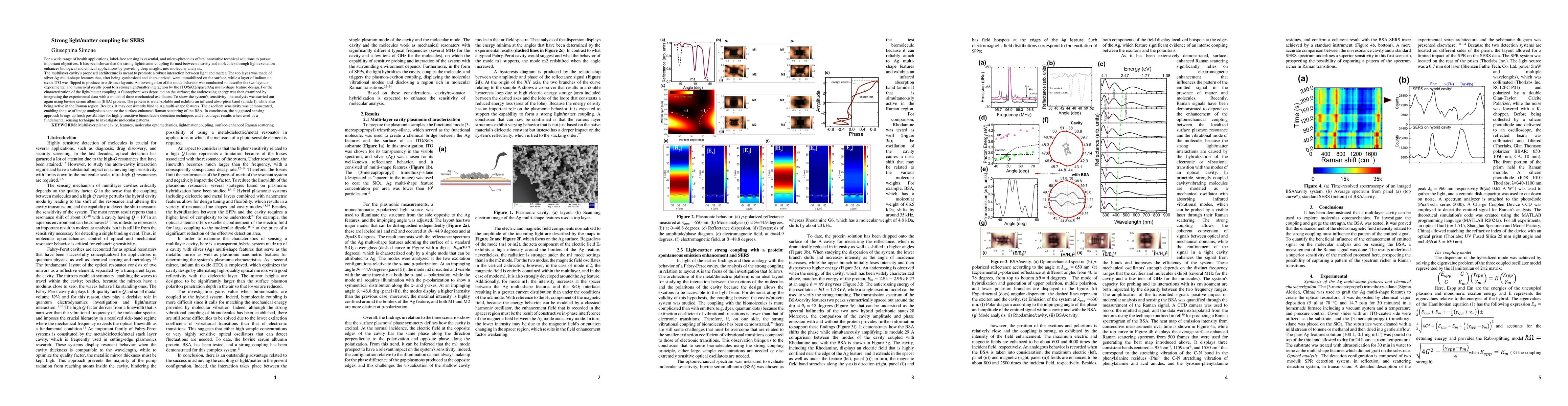 Thumbnail for Strong light/matter coupling for SERS