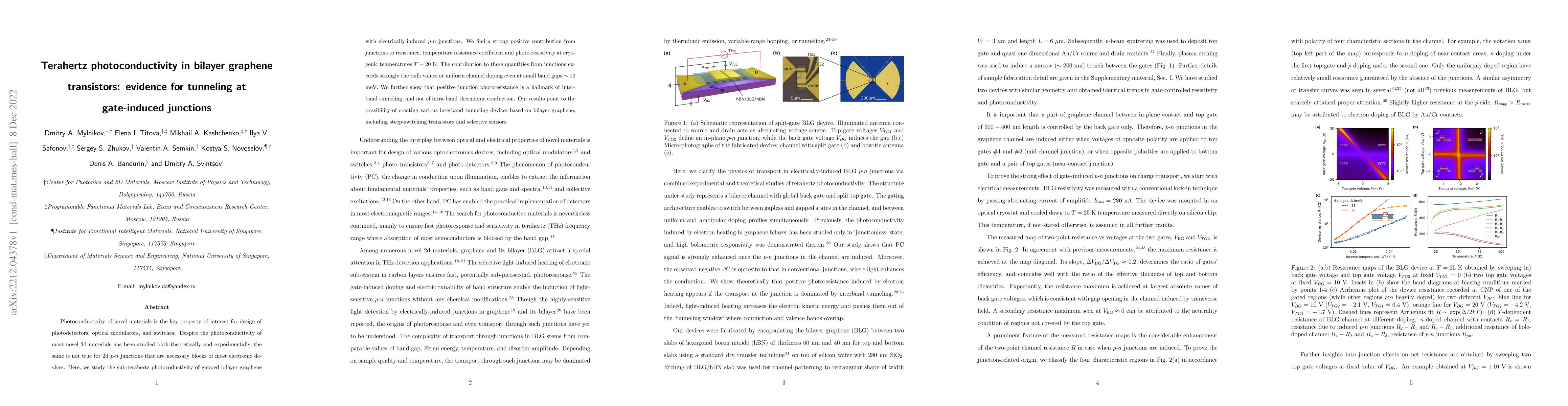 Thumbnail for Terahertz photoconductivity in bilayer graphene transistors: evidence
  for tunneling at gate-induced junctions