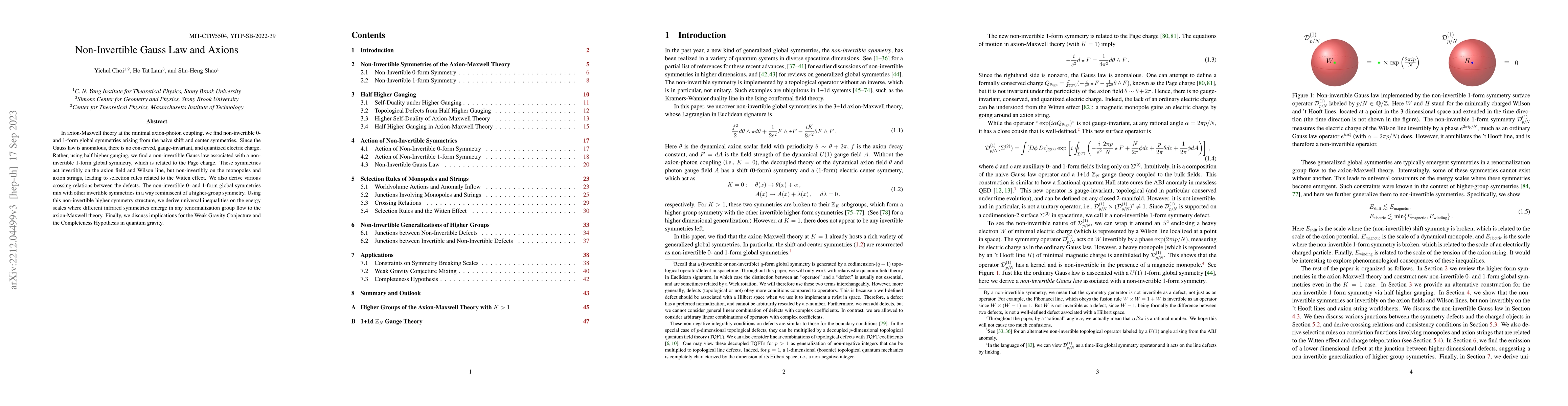 Thumbnail for Non-Invertible Gauss Law and Axions