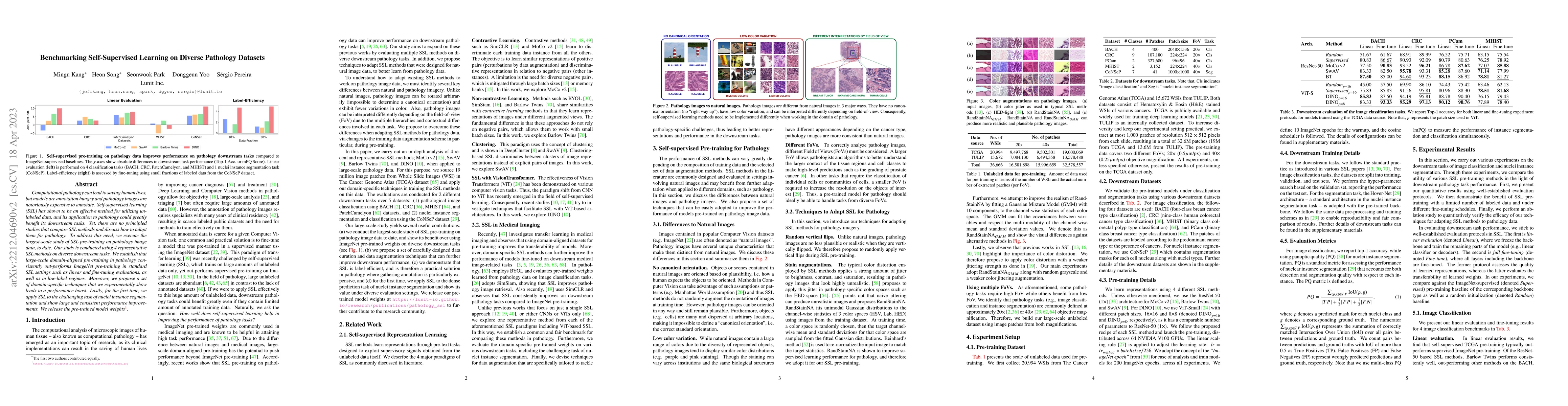 Thumbnail for Benchmarking Self-Supervised Learning on Diverse Pathology Datasets