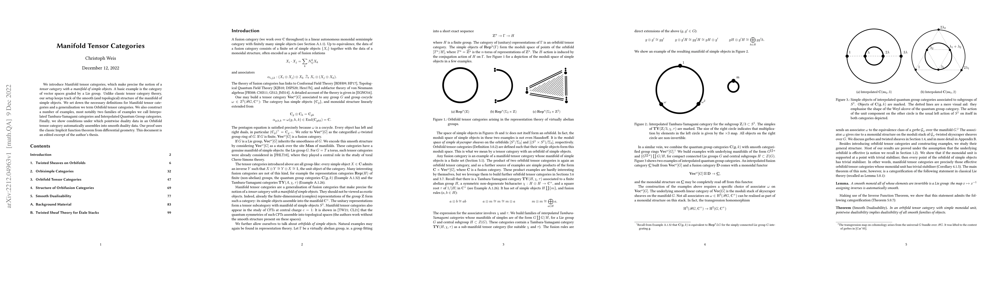 Thumbnail for Manifold tensor categories