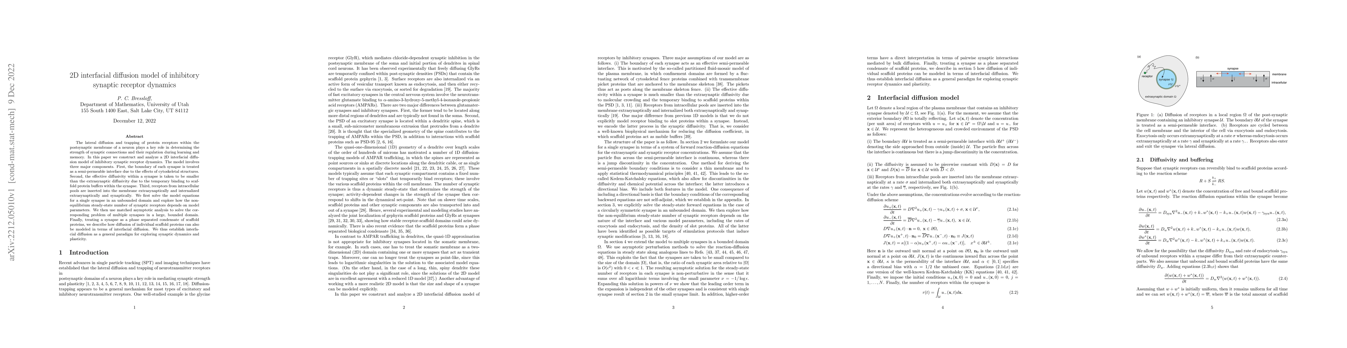 Thumbnail for 2D interfacial diffusion model of inhibitory synaptic receptor dynamics
