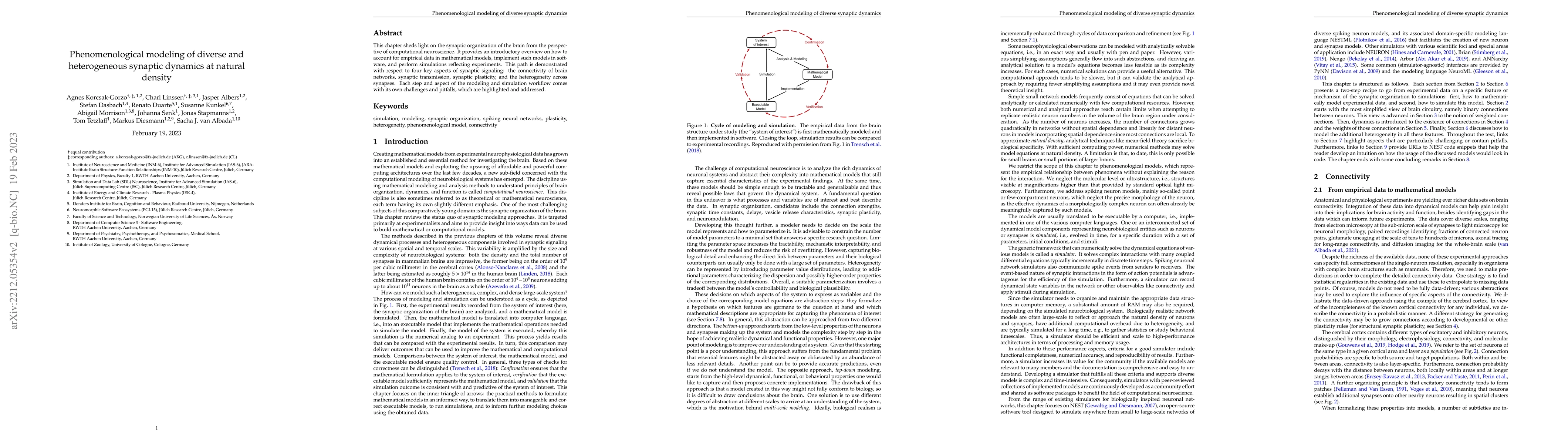 Thumbnail for Phenomenological modeling of diverse and heterogeneous synaptic dynamics
  at natural density