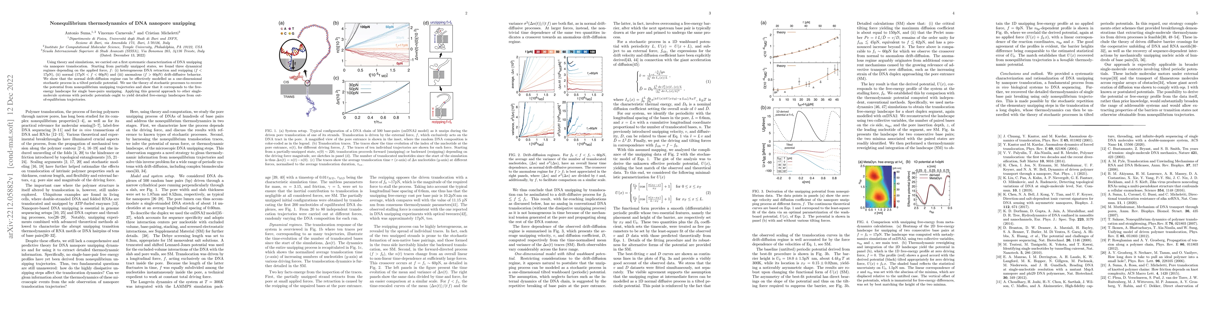 Thumbnail for Nonequilibrium thermodynamics of DNA nanopore unzipping