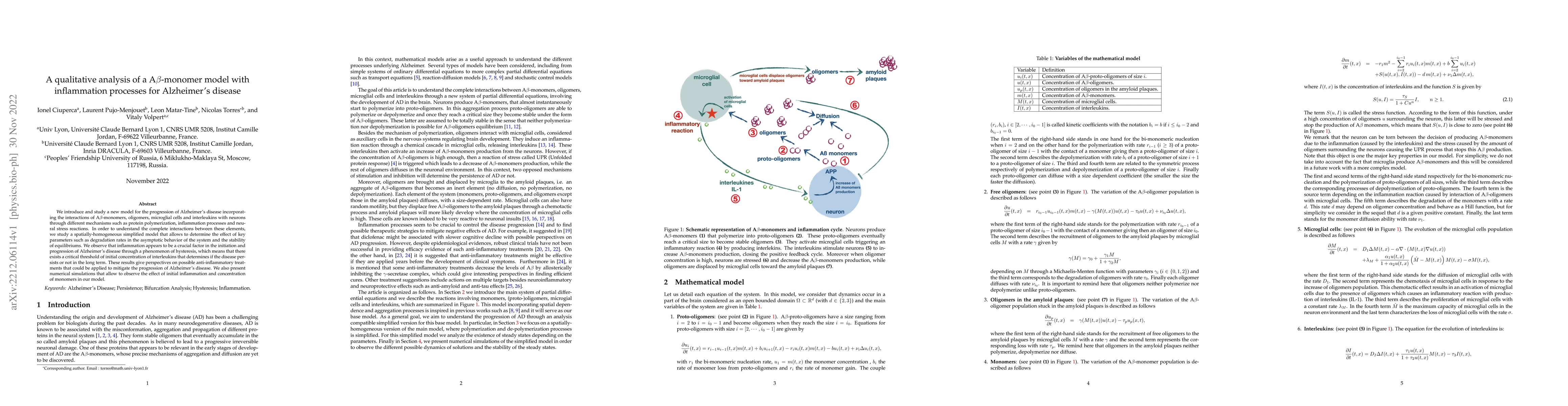 Thumbnail for A qualitative analysis of a A$\beta$-monomer model with inflammation
  processes for Alzheimer's disease