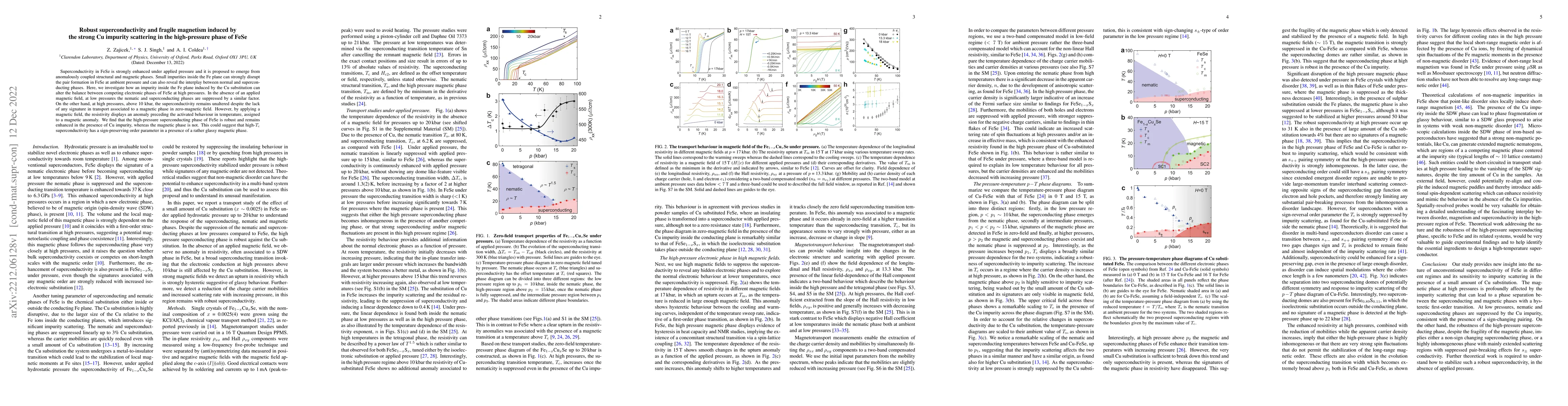 Thumbnail for Robust superconductivity and fragile magnetism induced by the strong Cu
  impurity scattering in the high-pressure phase of FeSe