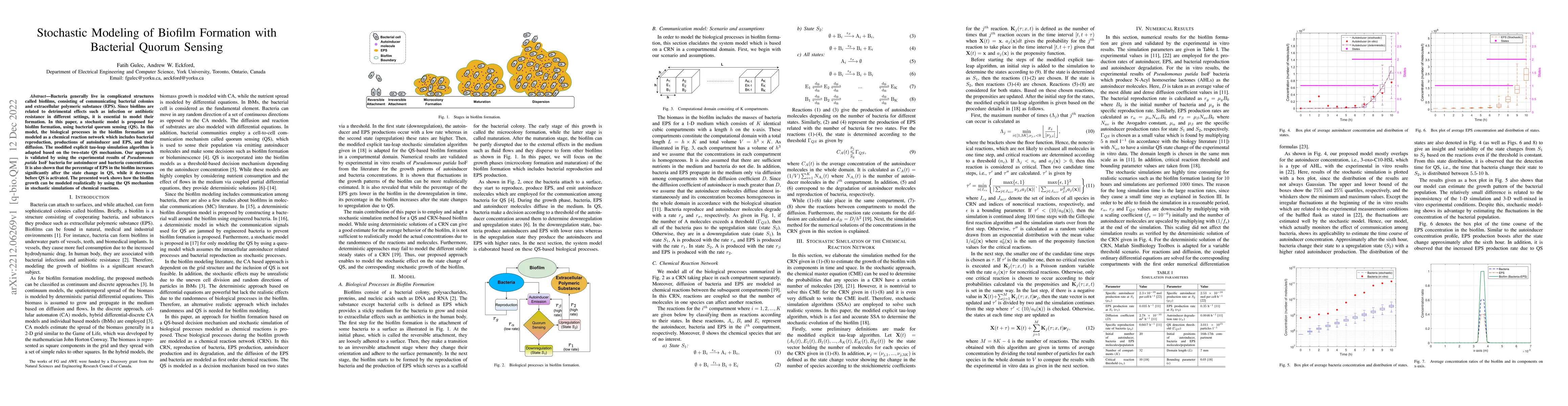 Thumbnail for Stochastic Modeling of Biofilm Formation with Bacterial Quorum Sensing