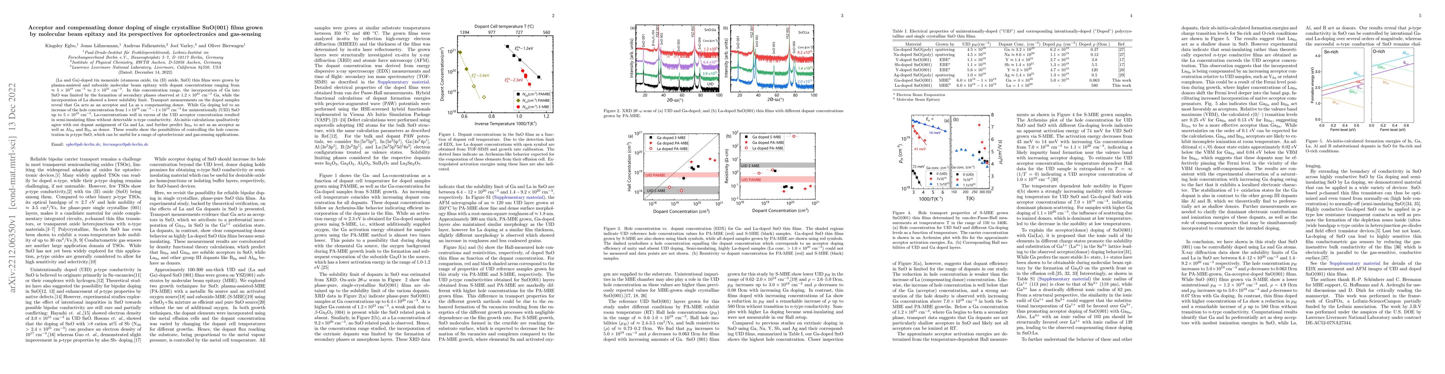 Thumbnail for Acceptor and compensating donor doping of single crystalline SnO (001)
  films grown by molecular beam epitaxy and its perspectives for
  optoelectronics and gas-sensing