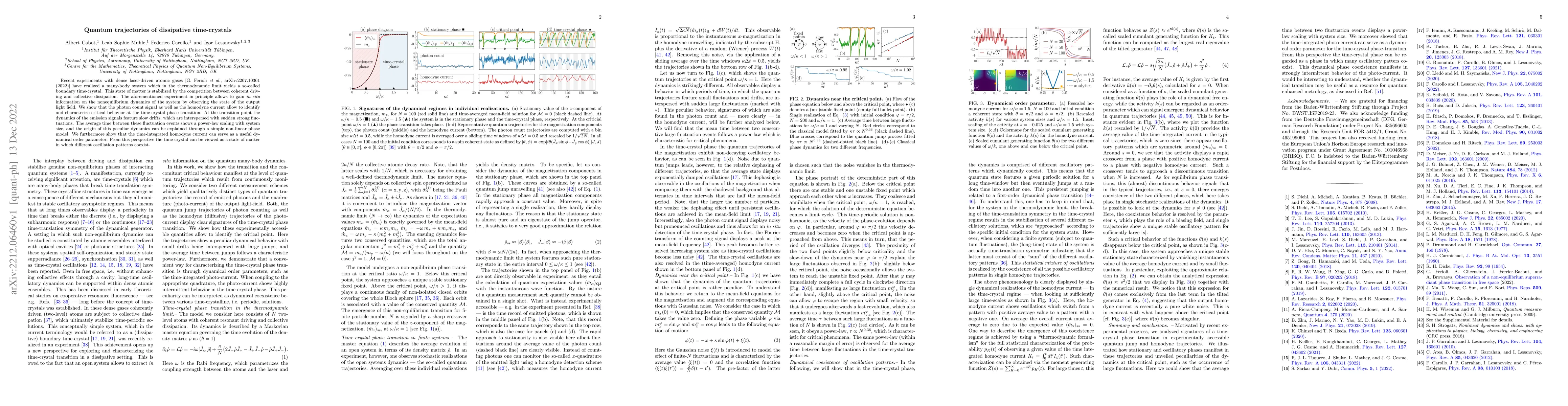 Thumbnail for Quantum trajectories of dissipative time-crystals