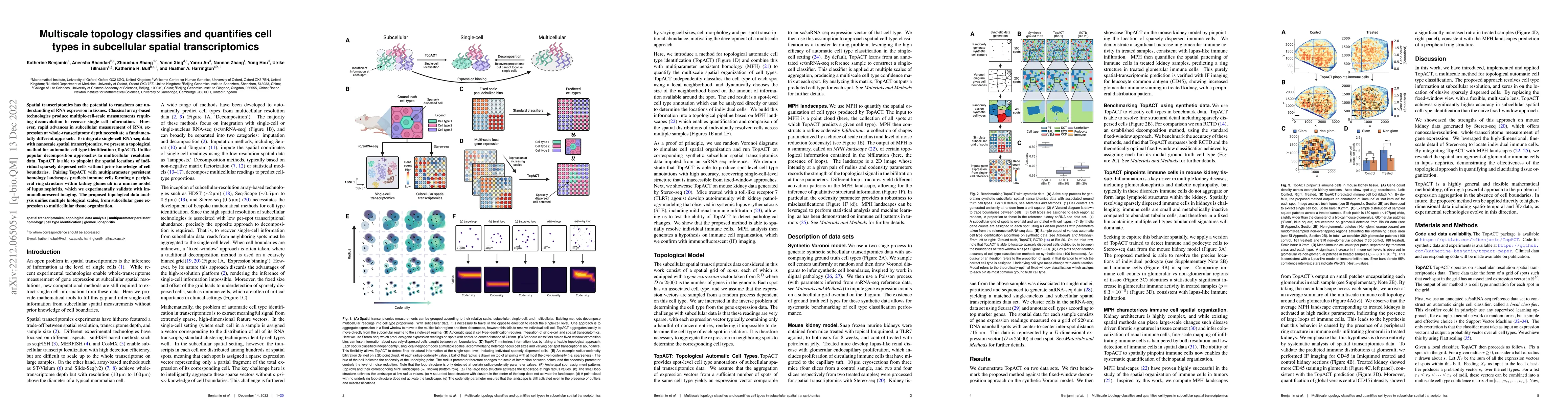 Thumbnail for Multiscale topology classifies and quantifies cell types in subcellular
  spatial transcriptomics