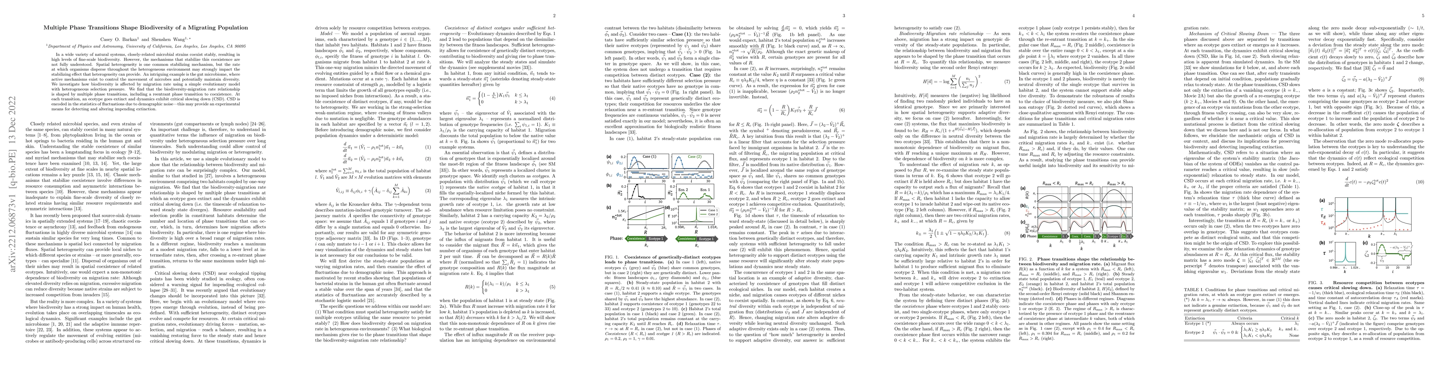 Thumbnail for Multiple Phase Transitions Shape Biodiversity of a Migrating Population