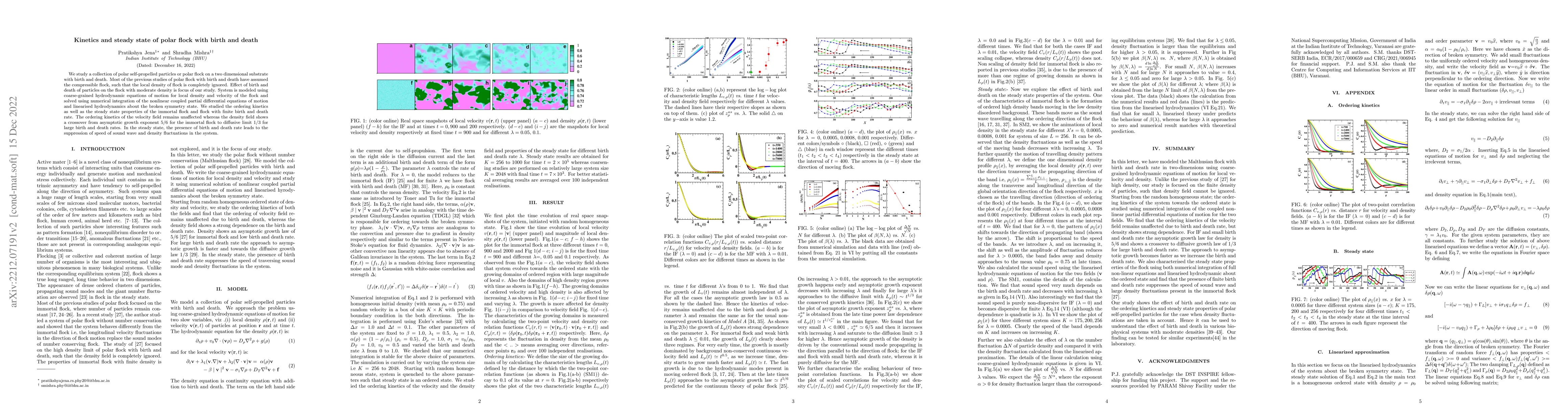 Thumbnail for Kinetics and steady state of polar flock with birth and death