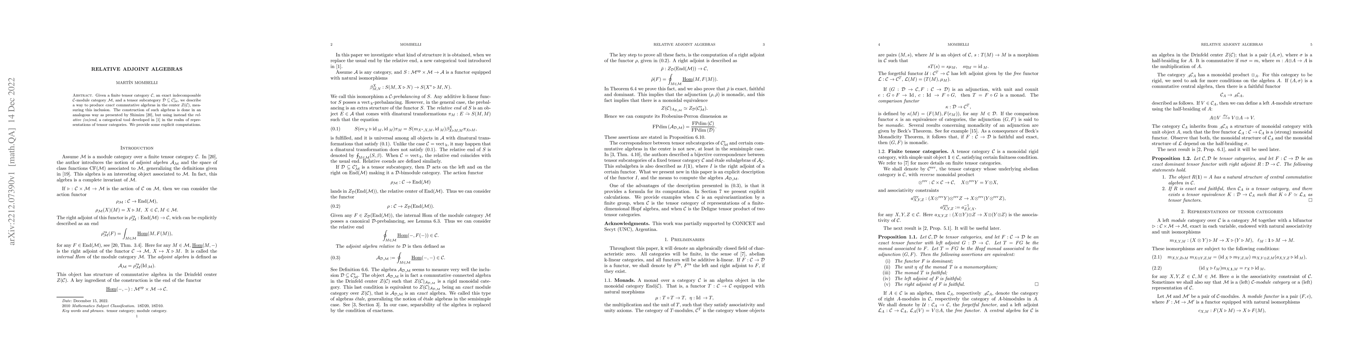 Thumbnail for Relative Adjoint Algebras