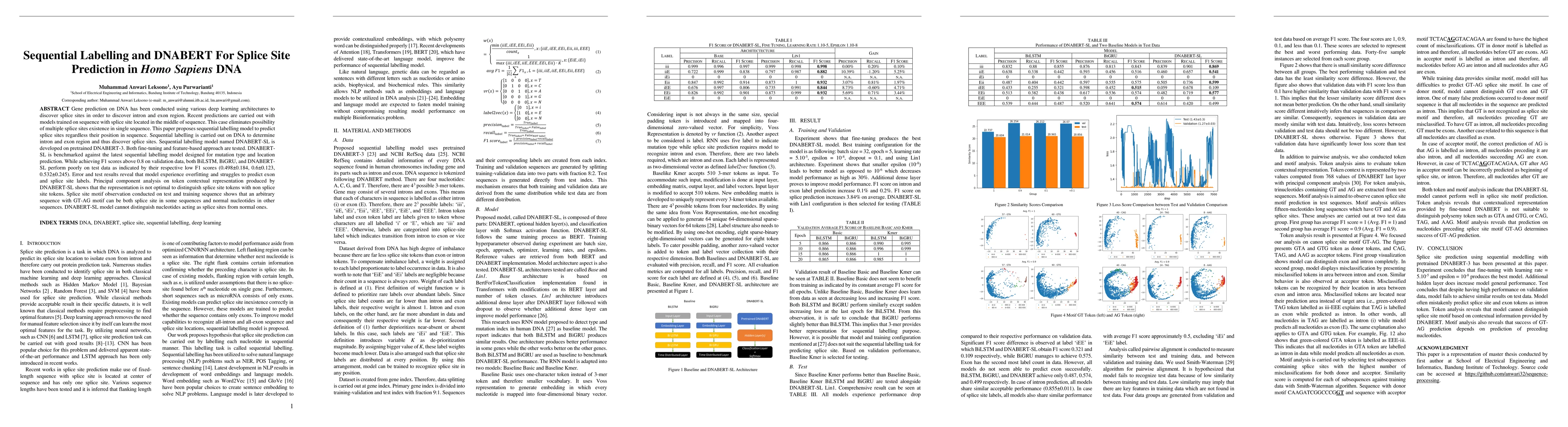 Thumbnail for Sequential Labelling and DNABERT For Splice Site Prediction in Homo
  Sapiens DNA