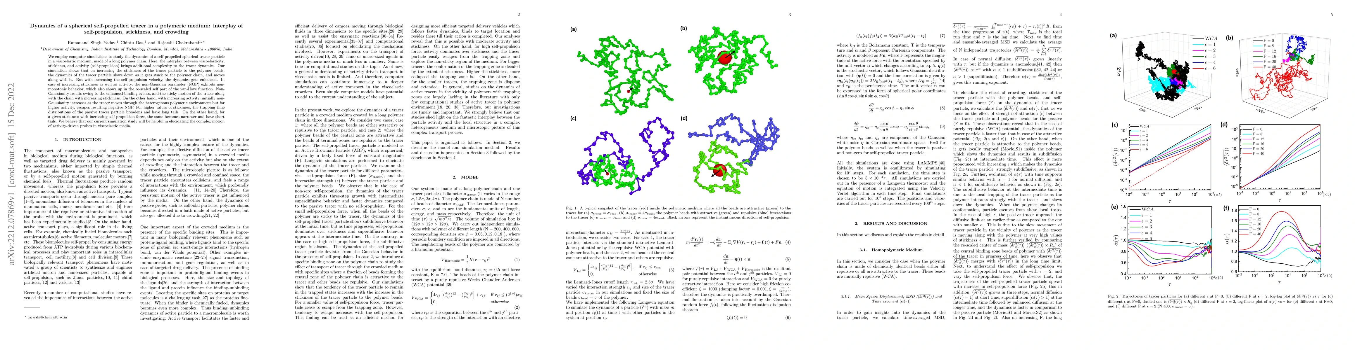 Thumbnail for Dynamics of a spherical self-propelled tracer in a polymeric medium:
  interplay of self-propulsion, stickiness, and crowding