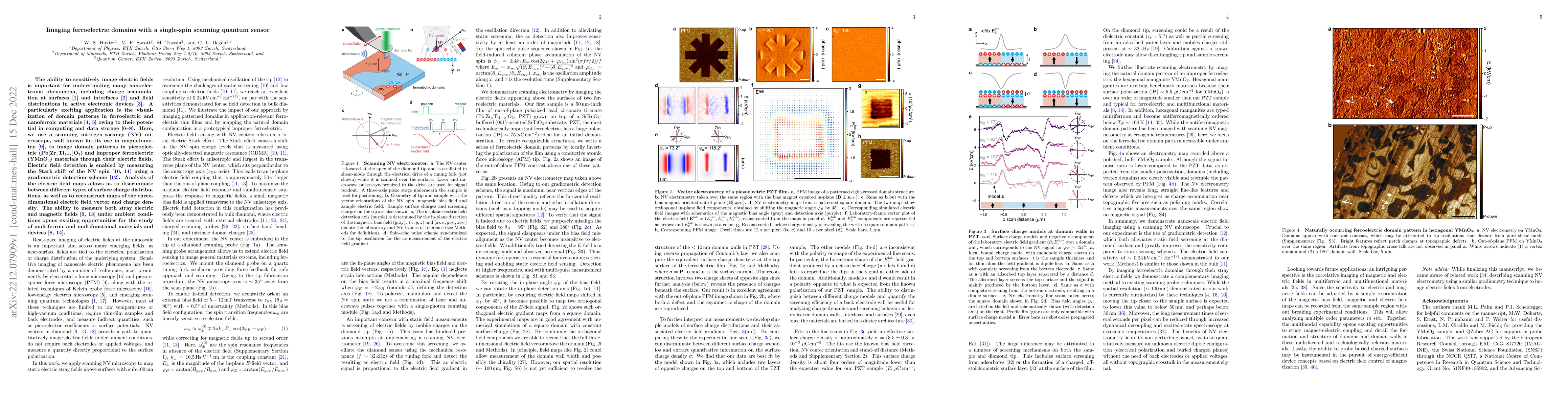 Thumbnail for Imaging ferroelectric domains with a single-spin scanning quantum sensor