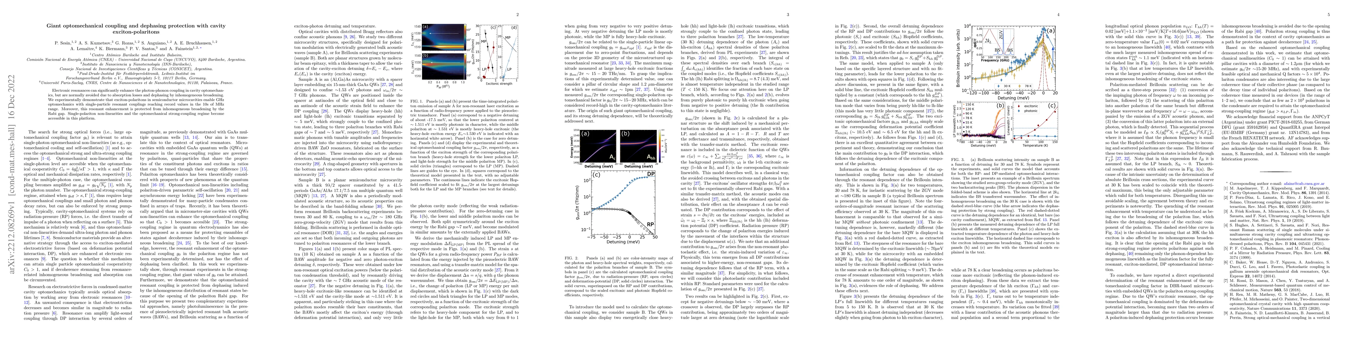 Thumbnail for Giant optomechanical coupling and dephasing protection with cavity
  exciton-polaritons