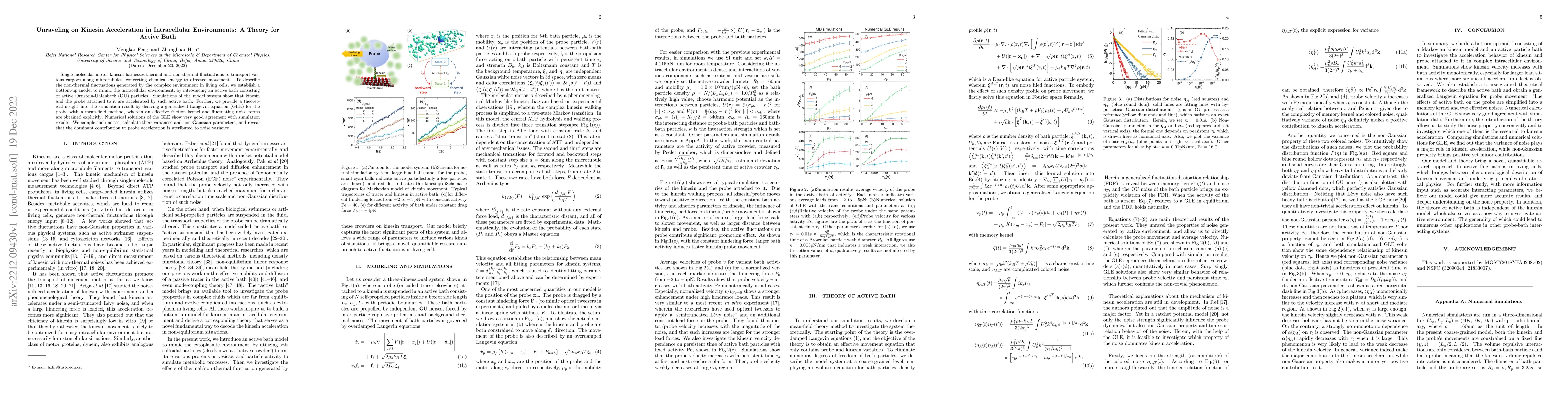 Thumbnail for Unraveling on Kinesin Acceleration in Intracellular Environments: A
  Theory for Active Bath