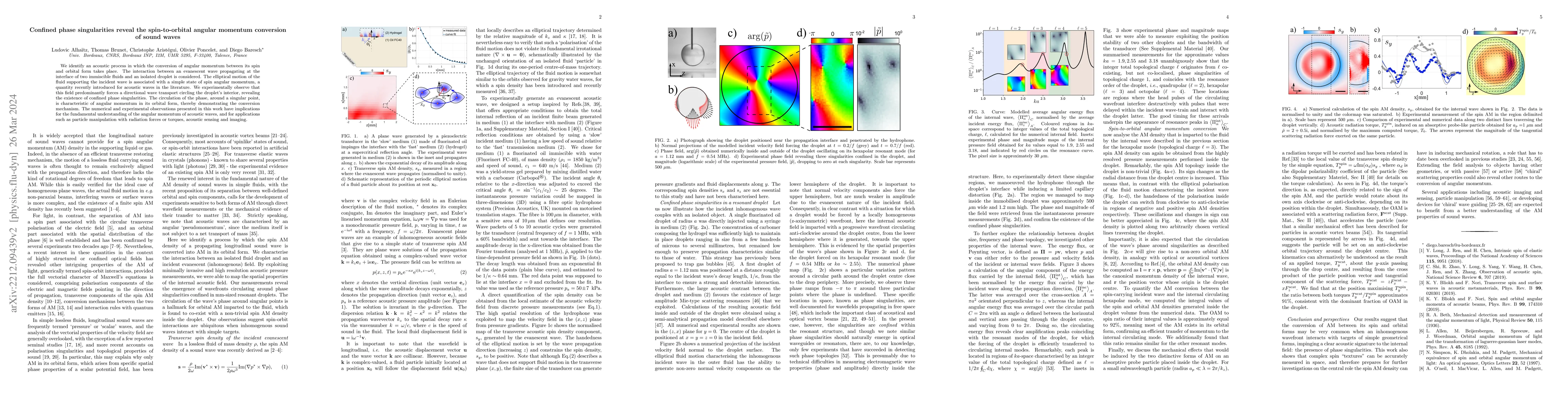 Thumbnail for Confined phase singularities reveal the spin-to-orbital angular momentum
  conversion of sound waves