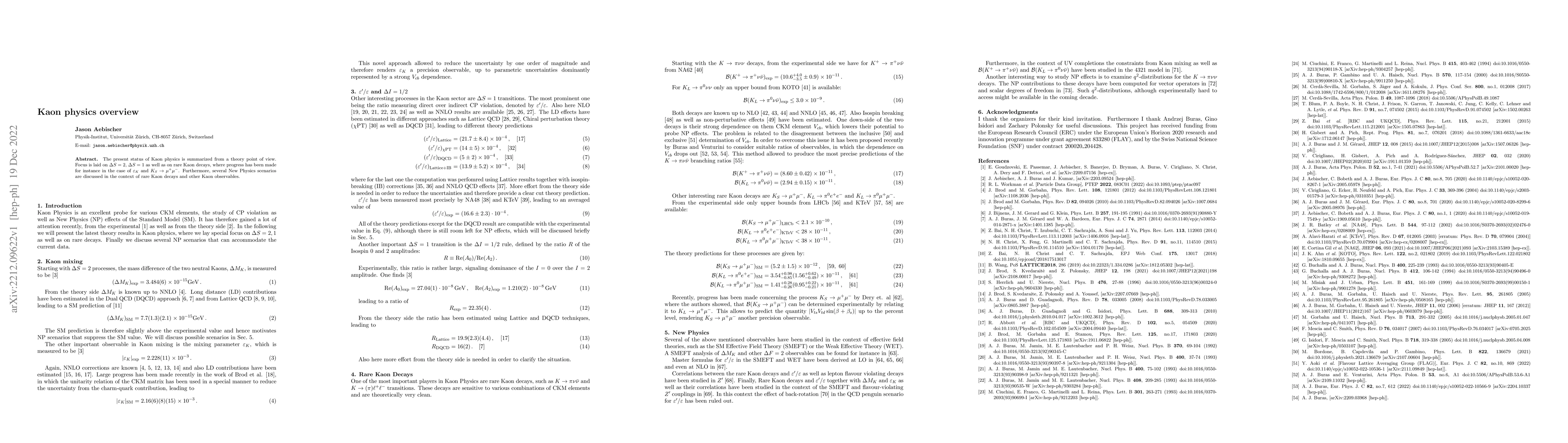 Thumbnail for Kaon physics overview
