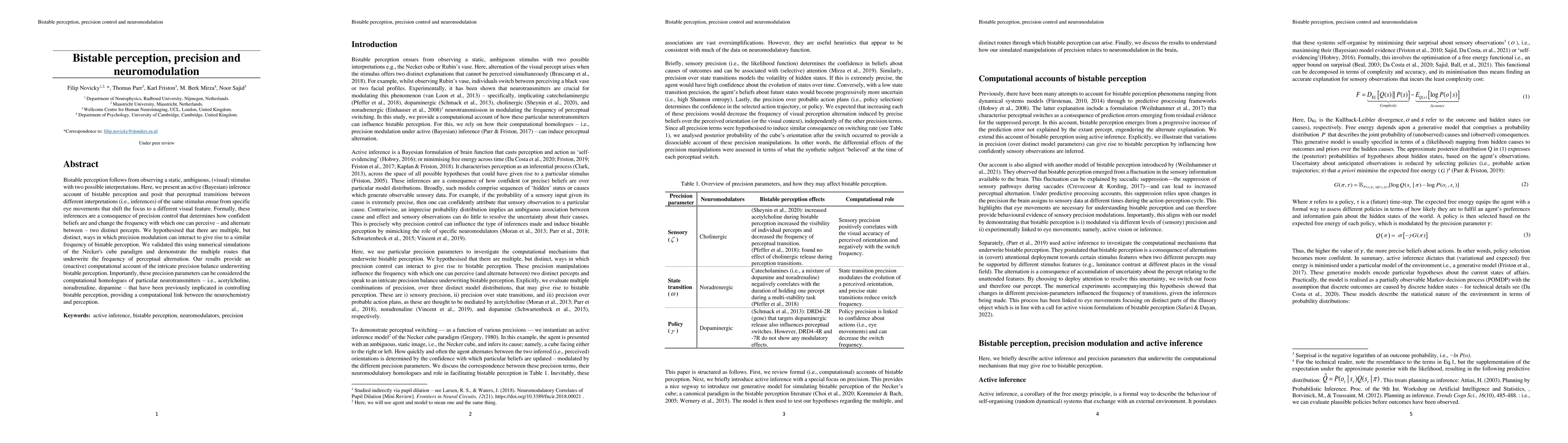 Thumbnail for Bistable perception, precision and neuromodulation